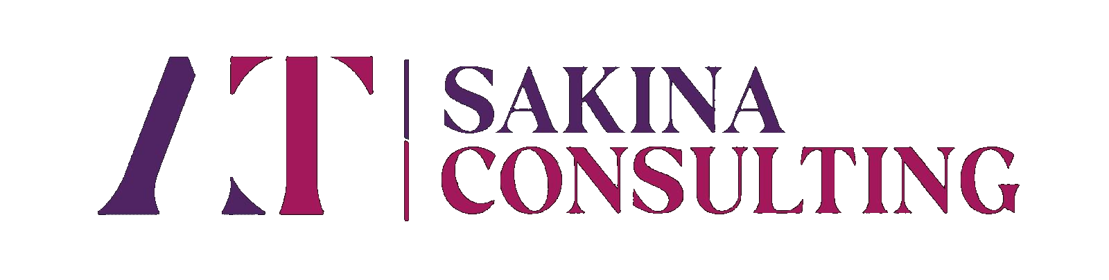 Sakina Consulting Logo